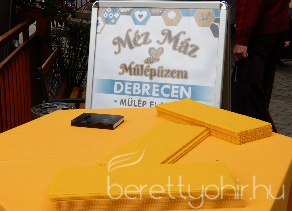 VIII. Bihari Mézes Nap 091